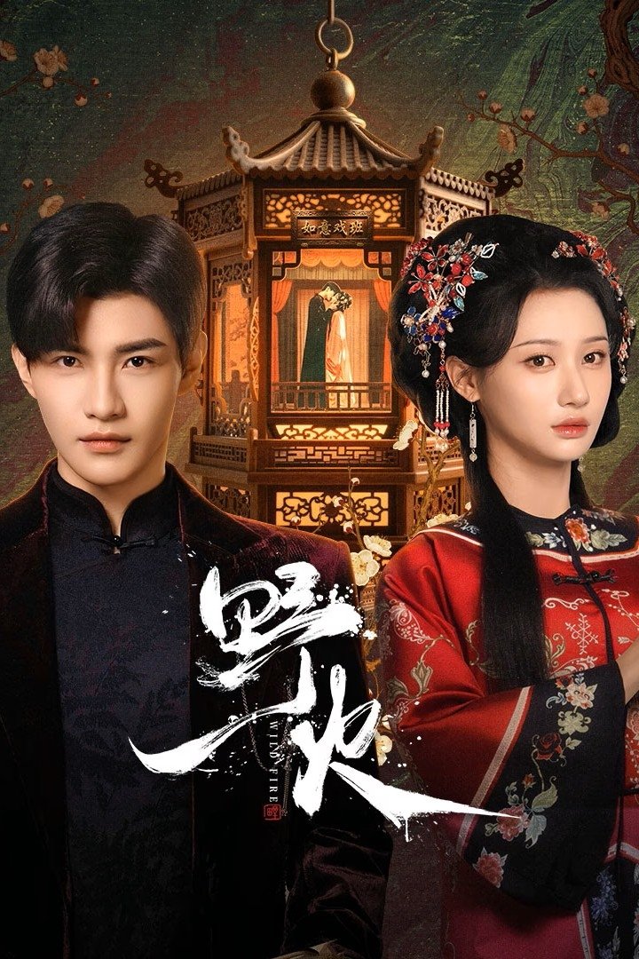 Wild Fire (2025 Chinese Drama)